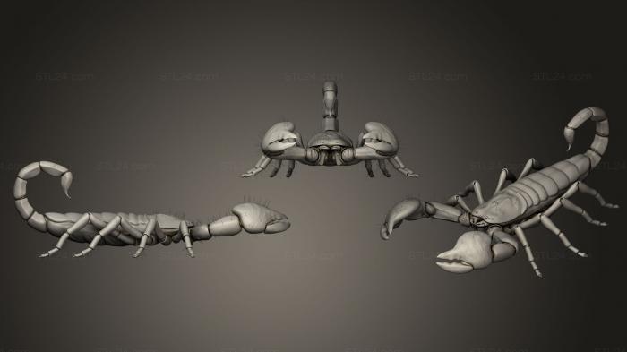 Animal figurines (cancr, STKJ_1668) 3D models for cnc